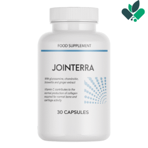 Jointerra