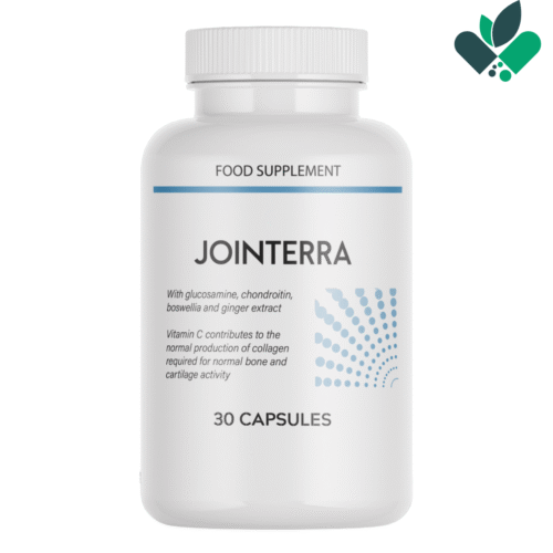 Jointerra