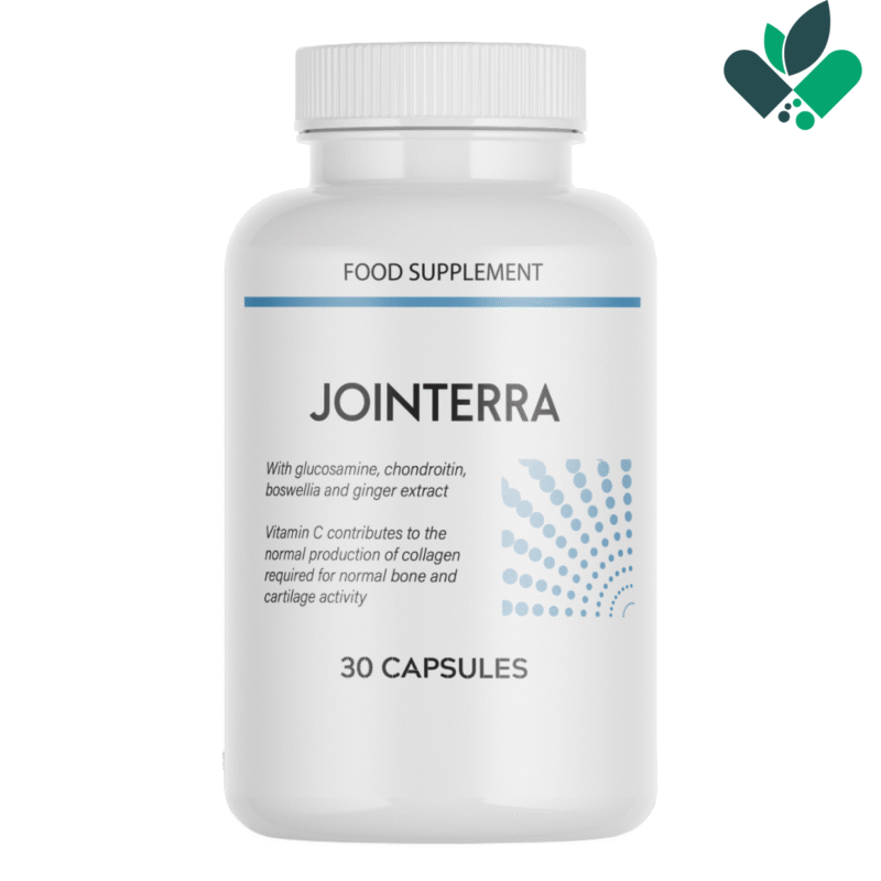 Jointerra