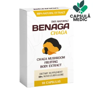Benaga Chaga